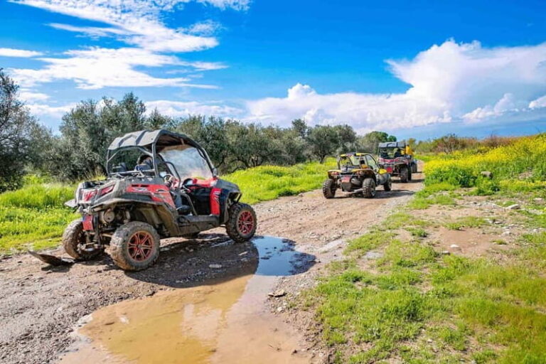 Paphos: 4x4 ATV & Buggy Safari Tour to Aphrodite's Rock - Practical Details