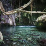 Paphos: Akamas, Baths of Aphrodite and Blue Lagoon Day Tour - The Value of This Tour