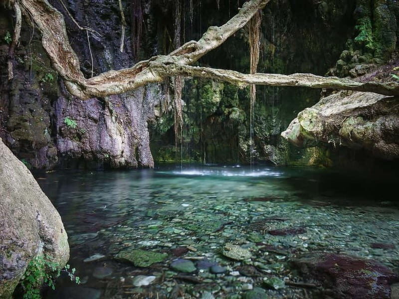 Paphos: Akamas, Baths of Aphrodite and Blue Lagoon Day Tour - The Value of This Tour