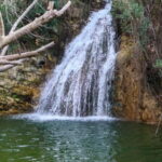 Paphos: Half Day Jeep Tour Akamas Peninsula (Private) - The Itinerary Breakdown