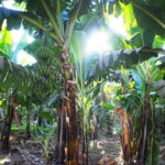 Paphos: Land Rover Jeep Safari Coastal Tour and Blue Lagoon - The Overall Experience: What Sets It Apart