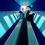 Paphos: Sunset Cruise, Turtle Watching, & Unlimited Drinks - What Makes This Tour Special?