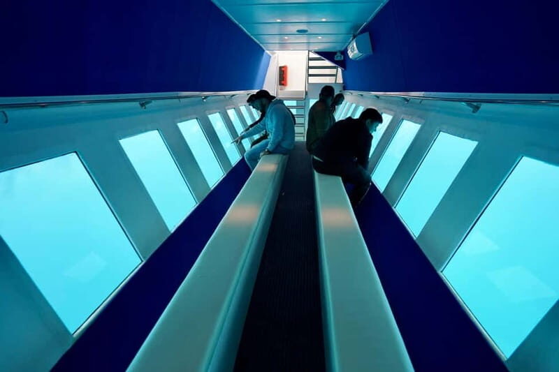 Paphos: Sunset Cruise, Turtle Watching, & Unlimited Drinks - What Makes This Tour Special?