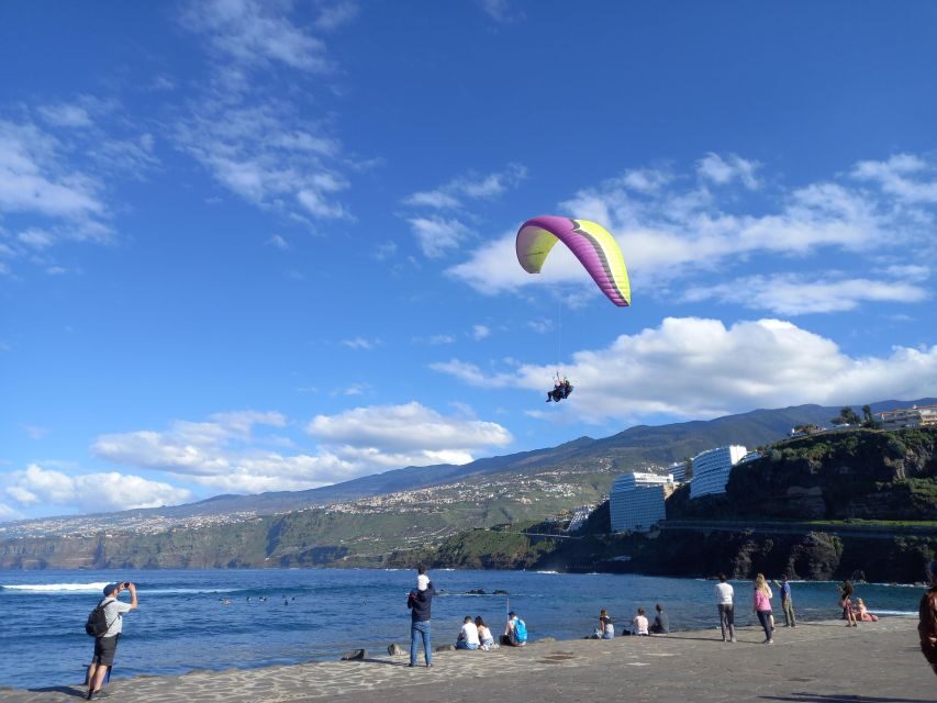 Paragliding from Puerto de la Cruz or Teide (day/sunset) - The Two Flight Options