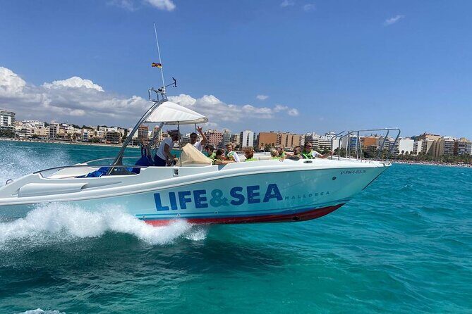 Parasailing in the Bay of Palma - Logistics and Practical Details