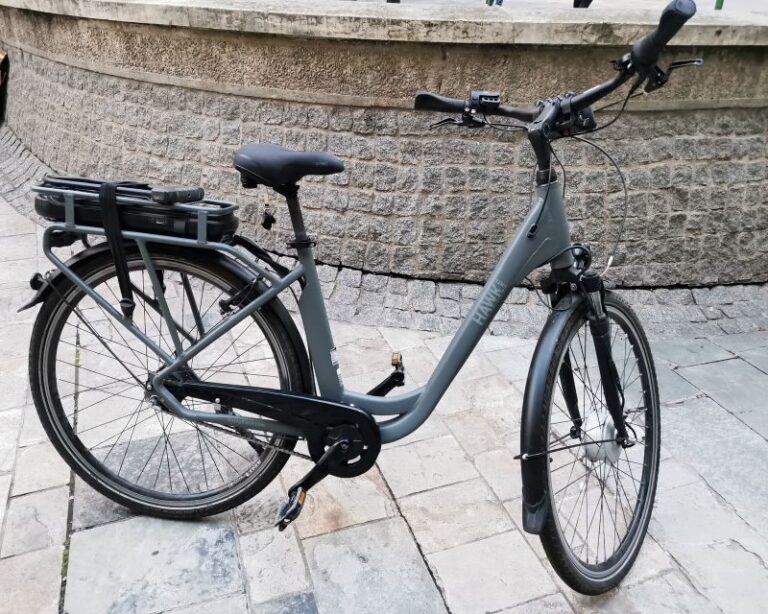 Paris : E-bike rental in Le Marais (City Center) - Who Should Consider This Experience?