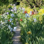 Paris: Giverny Gardens Day Trip with Professional Tour Guide - Delving Into the Details: Why This Tour Works