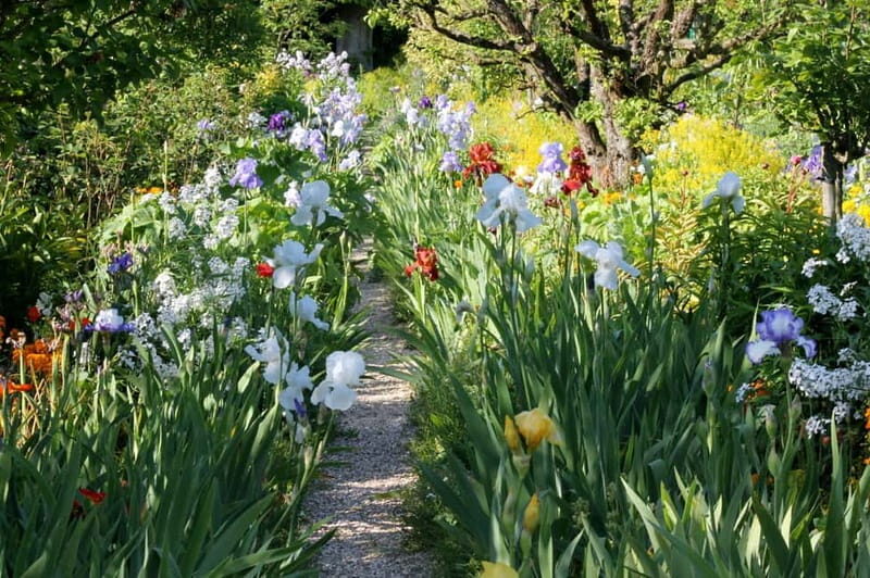 Paris: Giverny Gardens Day Trip with Professional Tour Guide - Delving Into the Details: Why This Tour Works