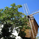 Paris: Montmartre Private Guided Walking Tour - The Experience Provider and Its Reputation