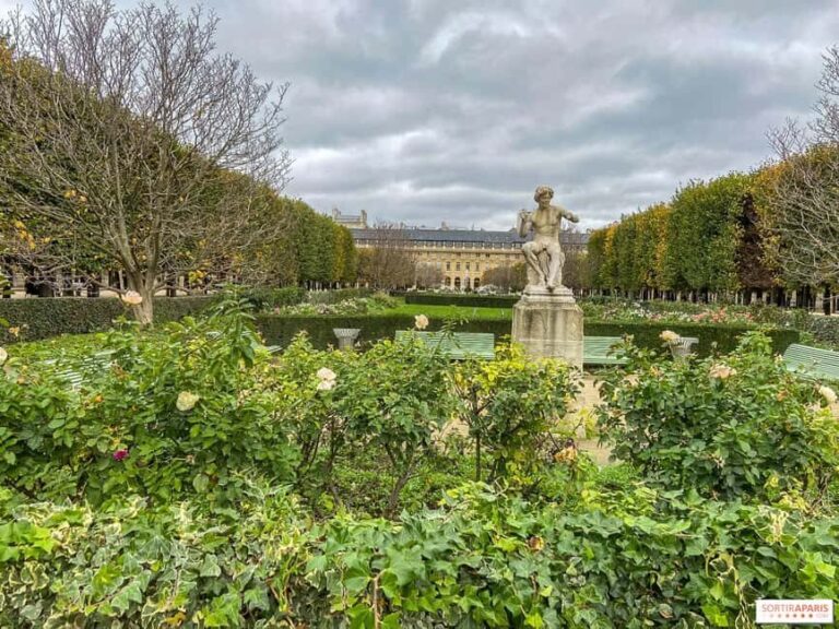 Paris: Pre-Haussmannian Paris Walking Tour (Old Paris) - Practical Details and What to Expect