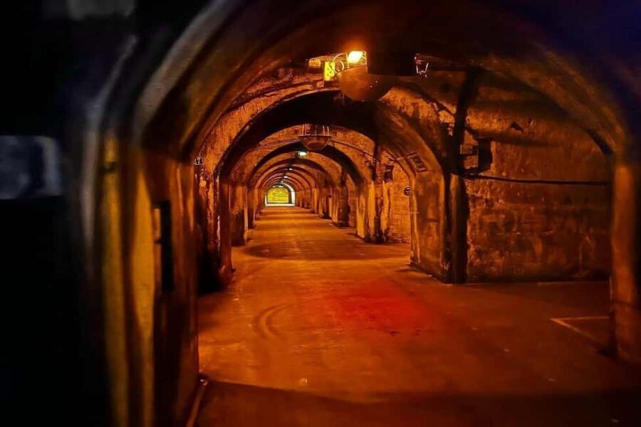 Paris: Private Champagne Tour  Picnic & Tasting + Gift - What Reviewers Say