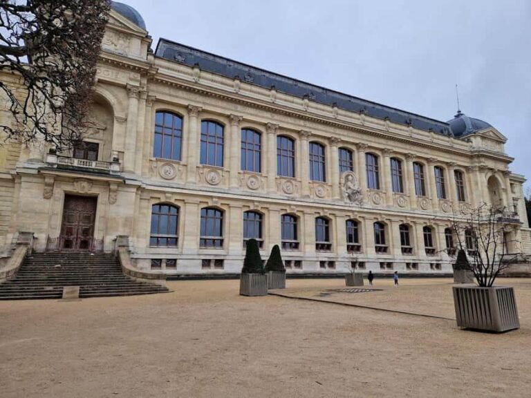 Paris: the Grande Galerie Ticket & Digital City Walk - Benefits of the Digital City Walk