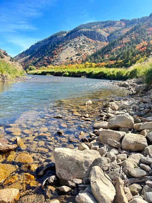 Park City: Guided Fly Fishing on Provo & Weber Rivers - An In-Depth Look at the Guided Fly Fishing Tour