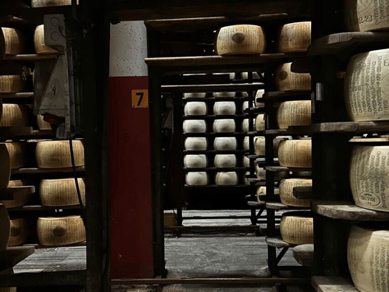 Parmesan Cheese Tour & Tasting close to Modena - Exploring the Factory and Warehouse