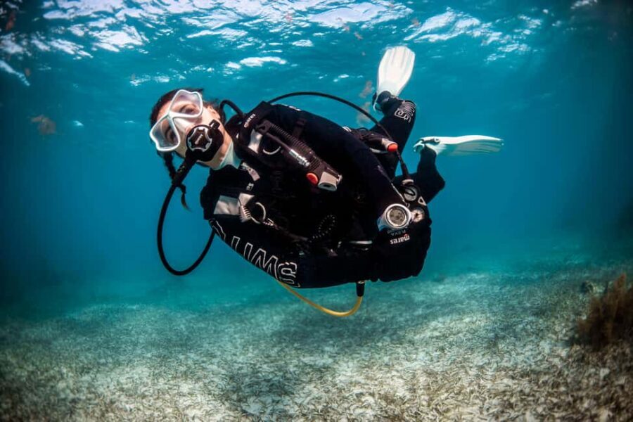 Paros: Scuba Diving Experience - What’s Included & What To Consider