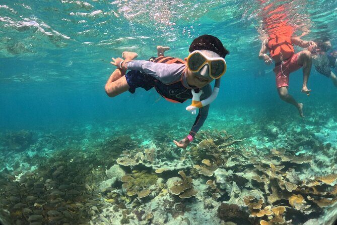 Party at Isla Mujeres Catamaran Open Bar! Half-Day Luxury Tour - Practical Tips for the Best Experience