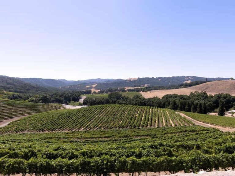 Paso Robles: 3-Winery Tour with Tastings and Lunch - Who Will Love This Tour?