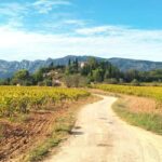 Peaceful Countryside Day : vineyards, food & villages - Why Choose This Tour?