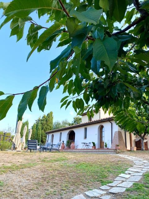 Peccioli: Wine tasting experience - Why This Tour Offers Great Value