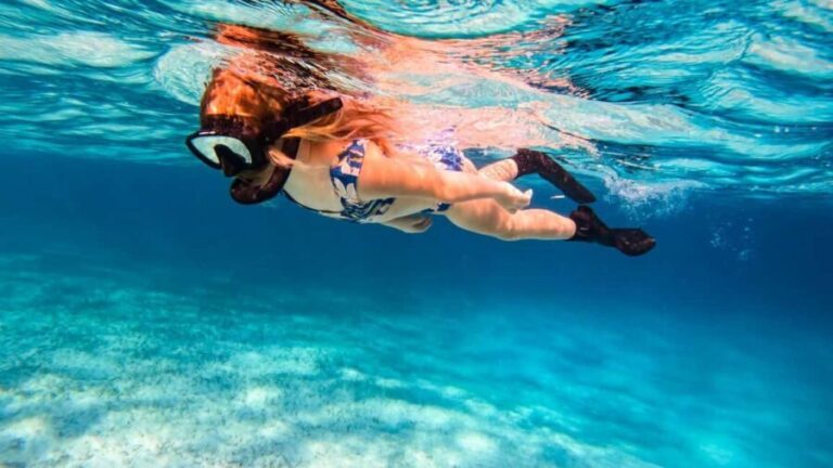 Pefkochori: Snorkeling Trip in Halkidiki-Kassndra - Practical Tips for Booking and Enjoying Your Snorkeling Trip