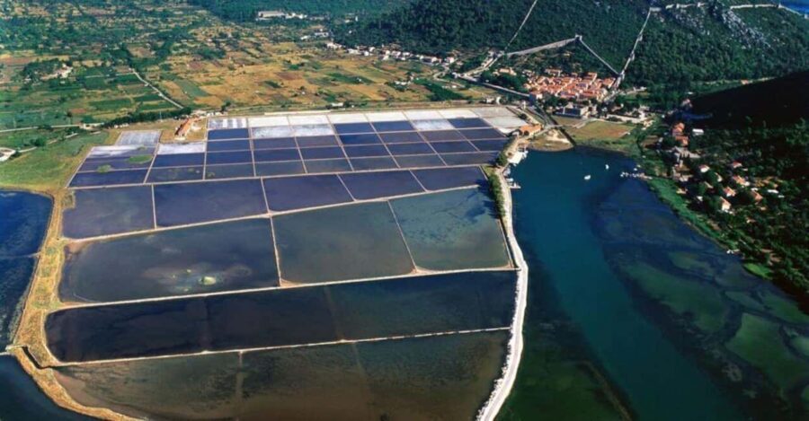 Peljeac Wine & Oyster Tasting Private Tour - Value and Practicalities: Is it Worth the Price?