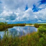 Pensacola Beach Fort Pickens Dolphin Cruise Tour - Who Will Love This Tour?