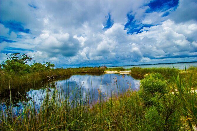 Pensacola Beach Fort Pickens Dolphin Cruise Tour - Who Will Love This Tour?