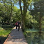 Perfect for Cruise Ship Guests: Split Walking Tour & Krka - Who Would Love This Tour?