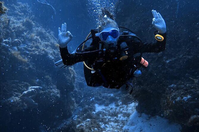 Personalized Snorkeling and Diving Experience in Riviera Maya - Who Will Love This Experience