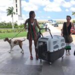PET FRIENDLY Private Transfer Cancun - Playa del Carmen - What’s Included and What’s Not