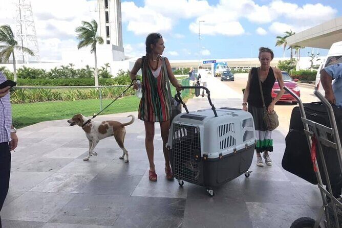 PET FRIENDLY Private Transfer Cancun - Playa del Carmen - What’s Included and What’s Not