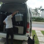 Pet Friendly Transportation Service In Cancun - Detailed Breakdown of the Experience