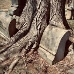 Philadelphia's Forgotten Dead - What You Can Expect During the Tour