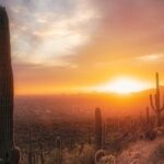 Phoenix Landmarks Tour Desert Botanical Garden - Practical Details & What to Expect