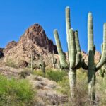 Phoenix/Scottsdale: Apache Trail Tour & Canyon Lake Cruise - A Deep Dive into the Apache Trail & Canyon Lake Cruise Experience