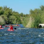 Phoenix: Self-Guided Kayaking Trip to Foxtail - Why You’ll Love This Experience