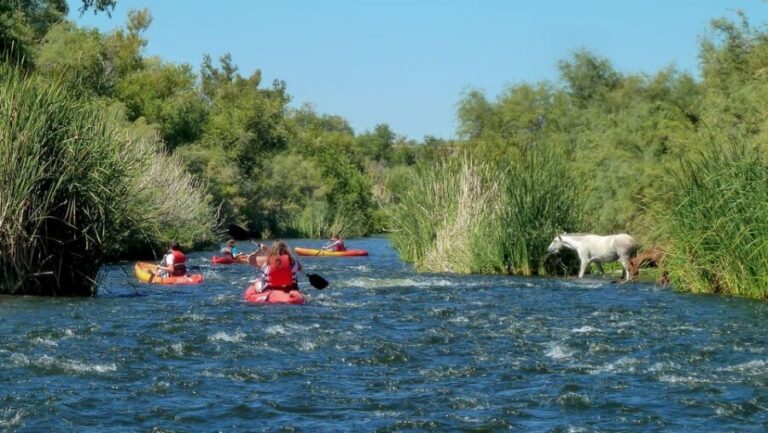 Phoenix: Self-Guided Kayaking Trip to Foxtail - Why You’ll Love This Experience