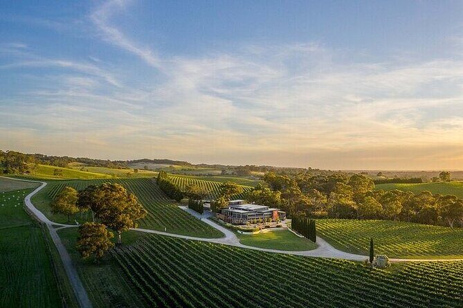 Phoenix Vortex to Vineyard Shared Tour - Good To Know