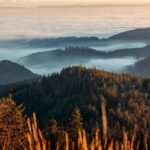 Photo tour through the Black Forest  the highlights - What’s the Experience Like?