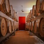 Picnic at the Château Palais Cardinal - Who Should Consider This Tour?