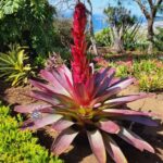 Pico Arieiro, Santana, São Lourenço & more  Full Day+PickUp - What Makes This Tour Stand Out?