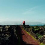 Pico island: discover the volcanic jewel of the Atlantic - Value and Price Analysis