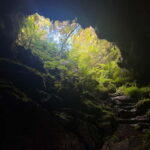 Pico Island: Lagoons and Mysterious Lava Tunnels Guided Tour - What’s Included and Practical Details