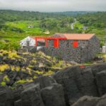 Pico Island: Wine and Vineyards Tour with Tasting - What to Expect on the Tour
