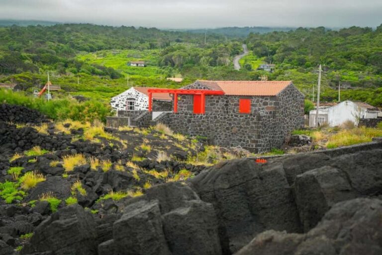 Pico Island: Wine and Vineyards Tour with Tasting - What to Expect on the Tour