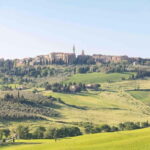 Pienza: tour of the mill with oil and wine tasting - Practical Details and What to Expect