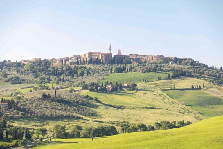 Pienza: tour of the mill with oil and wine tasting - Practical Details and What to Expect