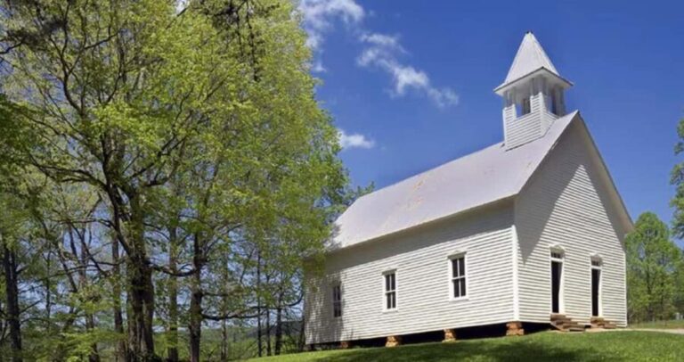 Pigeon Forge: Cades Cove Tour in a Pink Panorama Van - Practical Details and Value