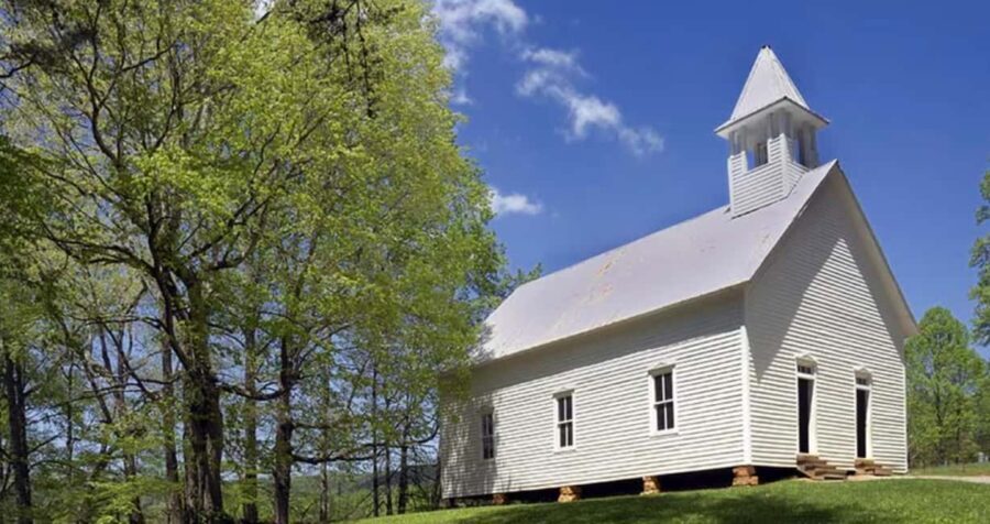 Pigeon Forge: Cades Cove Tour in a Pink Panorama Van - Practical Details and Value