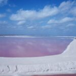 Pink Lake Lagoon and Rio Lagartos Tour from Cancun - Why this Tour Works for You